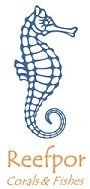 Reefpor