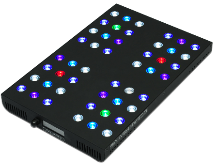 Ocean Revive T 247-B